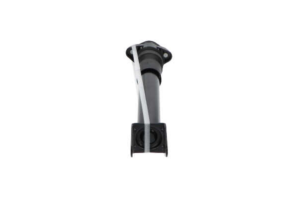 KAVO PARTS SSA-10301: Stoßdämpfer Hinterachse, Gasdruck, Federbein