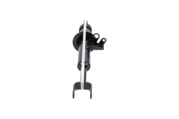 KAVO PARTS SSA-10369: Amortiguador Eje delantero, derecha, Presión de gas, Amortiguador con muelle de tope