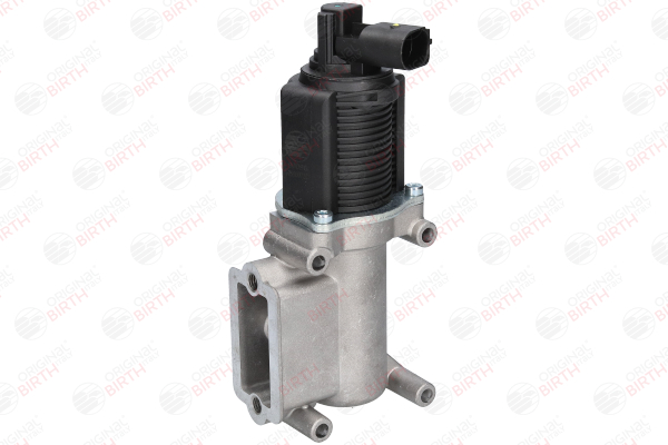 BIRTH 90098: AGR-Ventil mit Temperatursensor