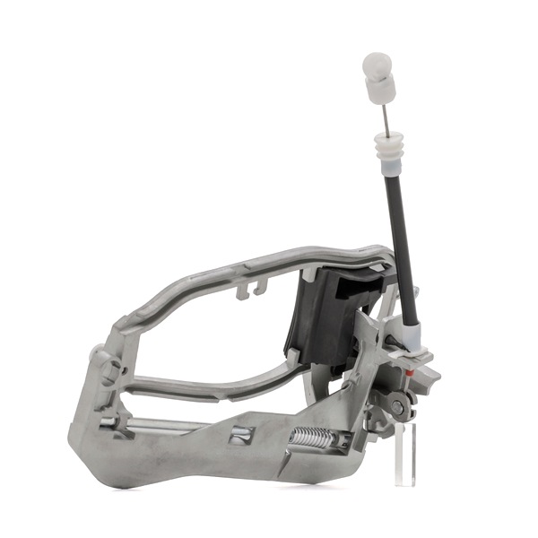 BLIC 6010-05-014421P Рамка на ръкохватка на врата BMW X5 (F15, F85) 231 K.C. дизел цена