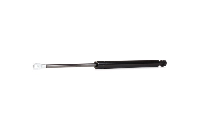 RIDEX 219G1011 Heckklappendämpfer CITROЁN C5 3 (RD) 204 PS Diesel Kosten
