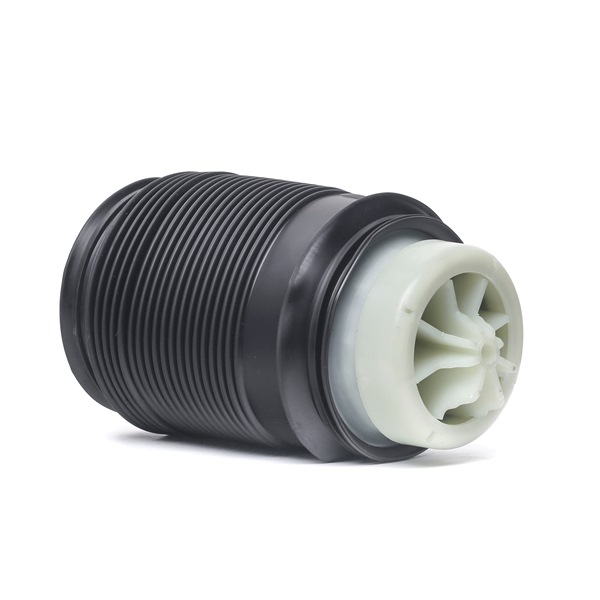RIDEX 4119A0088: Luftfeder, Fahrwerk Hinterachse links