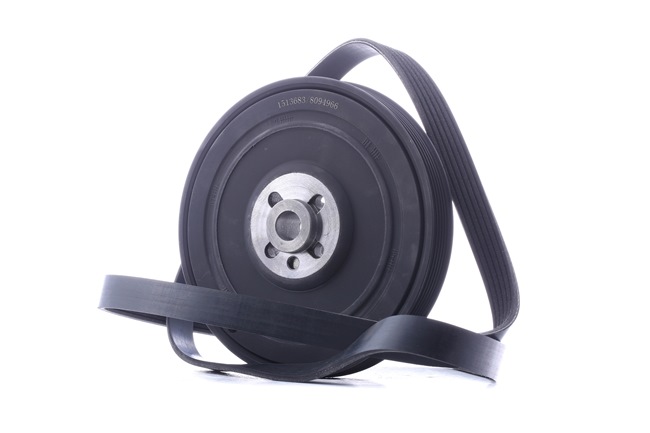 RIDEX 542R0675 Poly V-riem set VOLKSWAGEN LT 28-35 II Bus (2DB, 2DE, 2DK) 90 Pk Diesel kosten