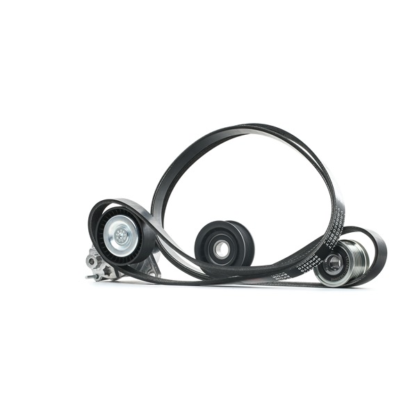 RIDEX 542R0678: Moniurahihnasarja