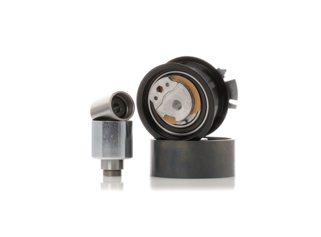 RIDEX 3321T0003 Jogo de roletes, correia dentada VW Passat Variant (3C5) 140 cv Diesel custo