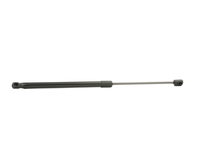 RIDEX 219G1017: Gasveer achterklep 500mm
