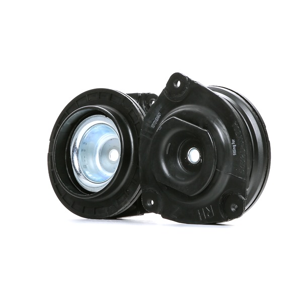 RIDEX 1180S0697 Támcsapágy, gólyaláb RENAULT MODUS / GRAND MODUS (F/JP0_) 75 LE Benzin/Autogáz (LPG) ár