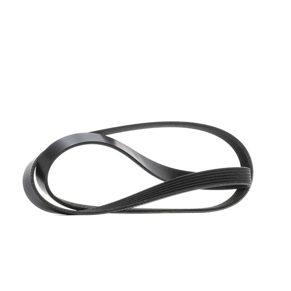 RIDEX 305P0544: Keilrippenriemen 1432mm, Rippenanzahl: 6