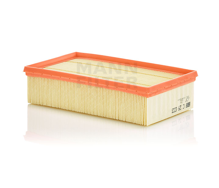 MANN-FILTER C 29 033: Filtro aria