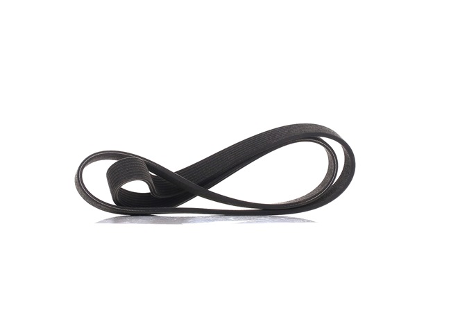 DAYCO 8DPK1411: Multiriem Ribbenaantal: 8