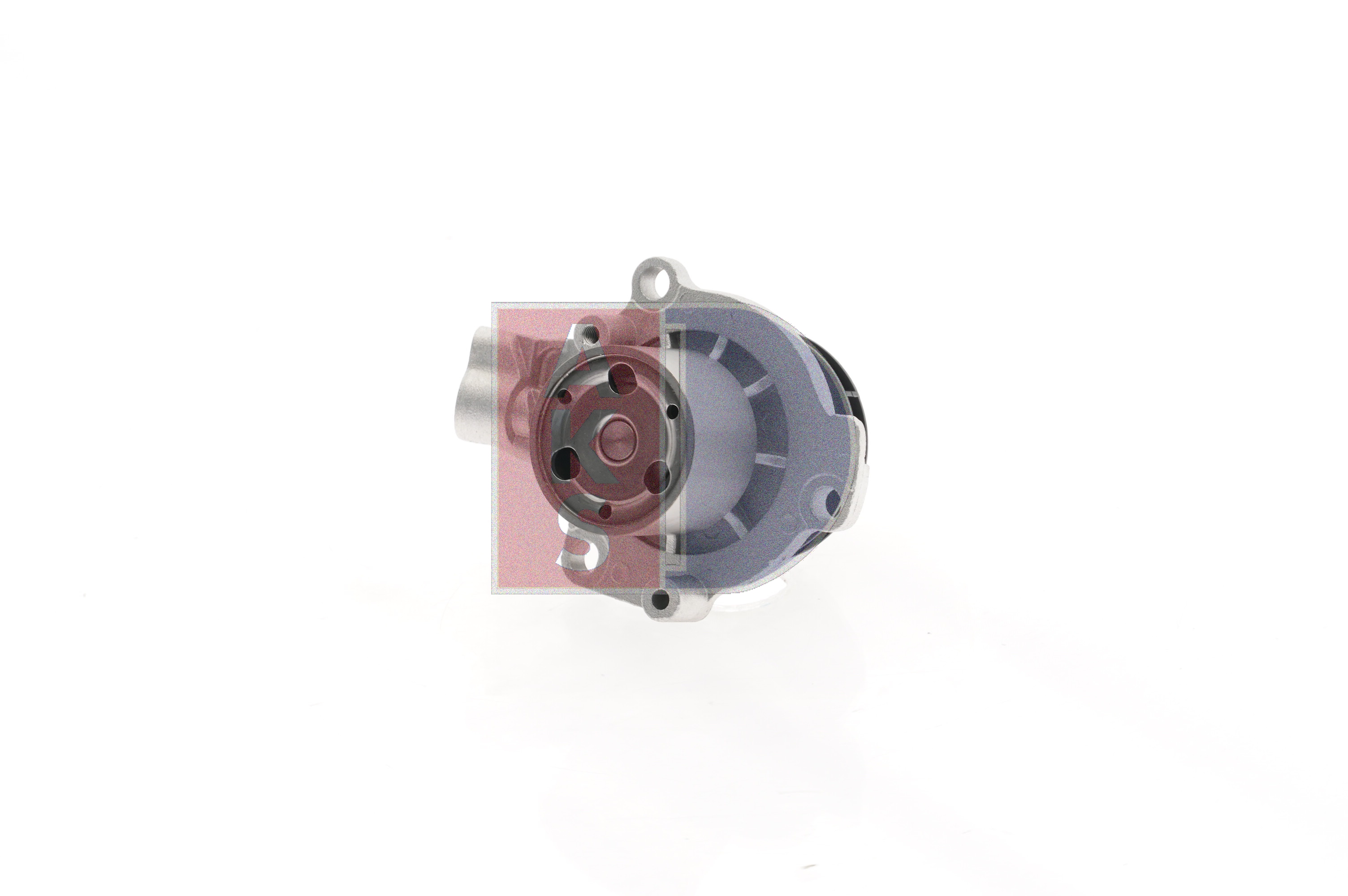 AKS DASIS 570063N: Pompe à eau