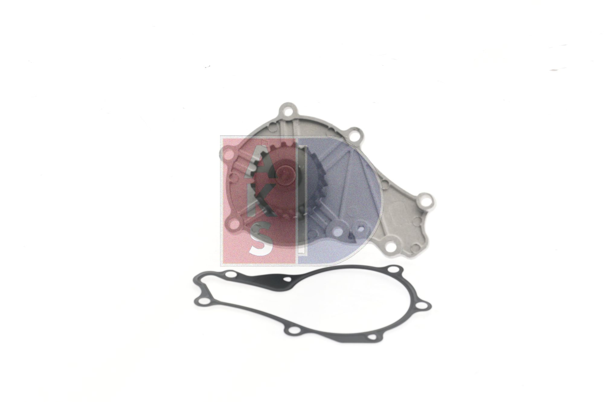 AKS DASIS 570127N: Pompe à eau
