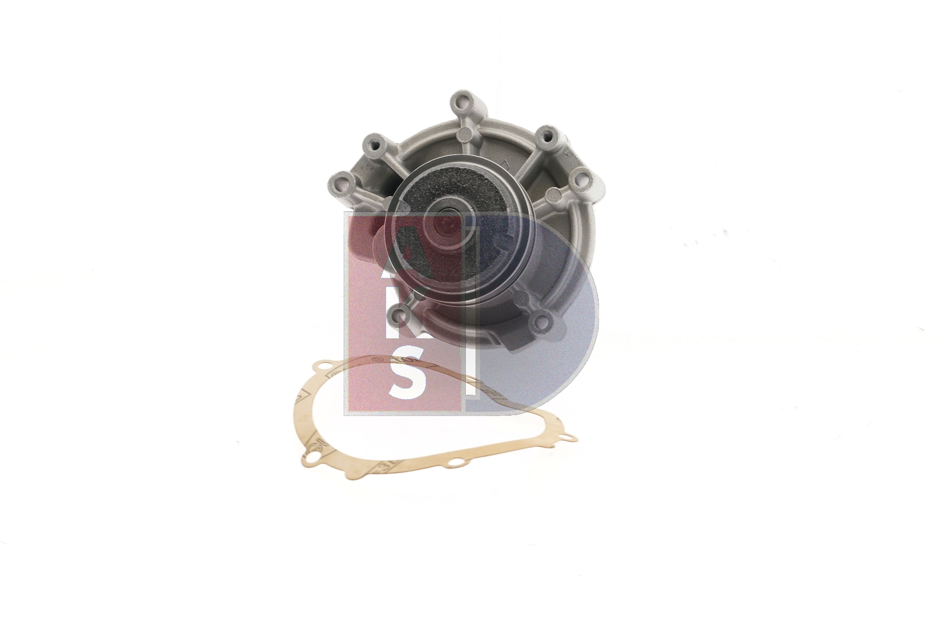 AKS DASIS 570129N: Pompe à eau