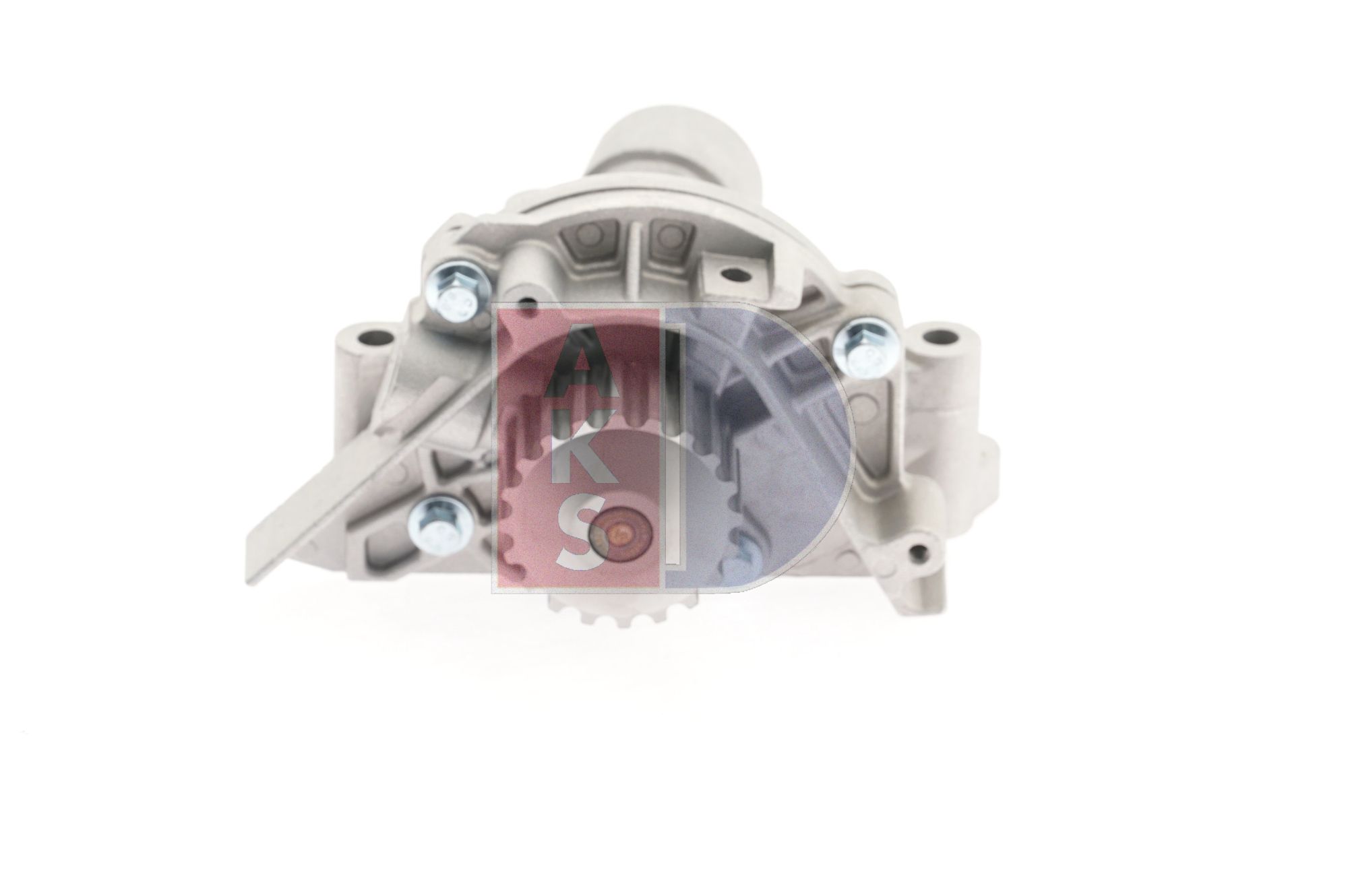 AKS DASIS 570133N: Pompe à eau