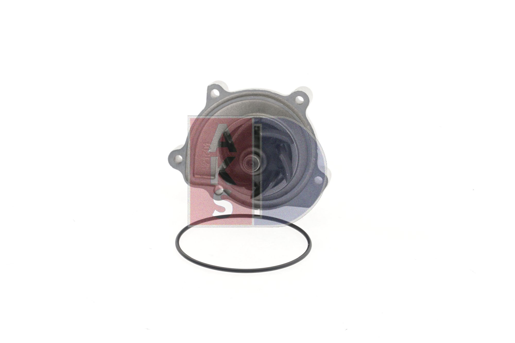 AKS DASIS 570403N: Pompe à eau