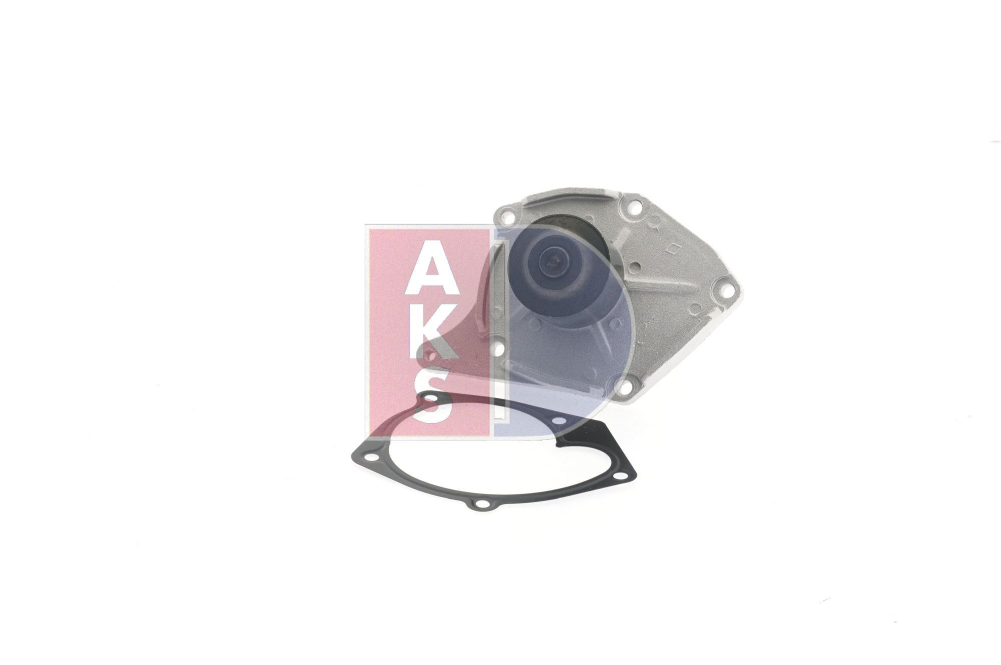 AKS DASIS 570553N: Pompe à eau