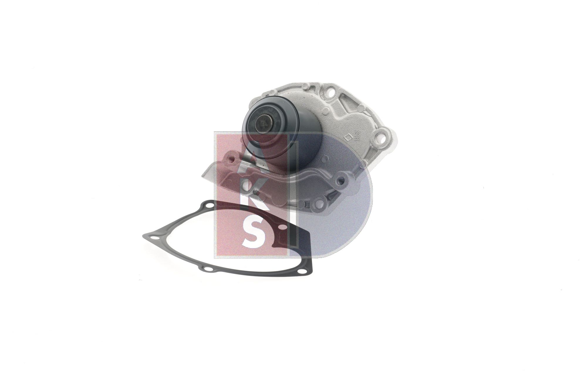 AKS DASIS 570563N: Pompe à eau