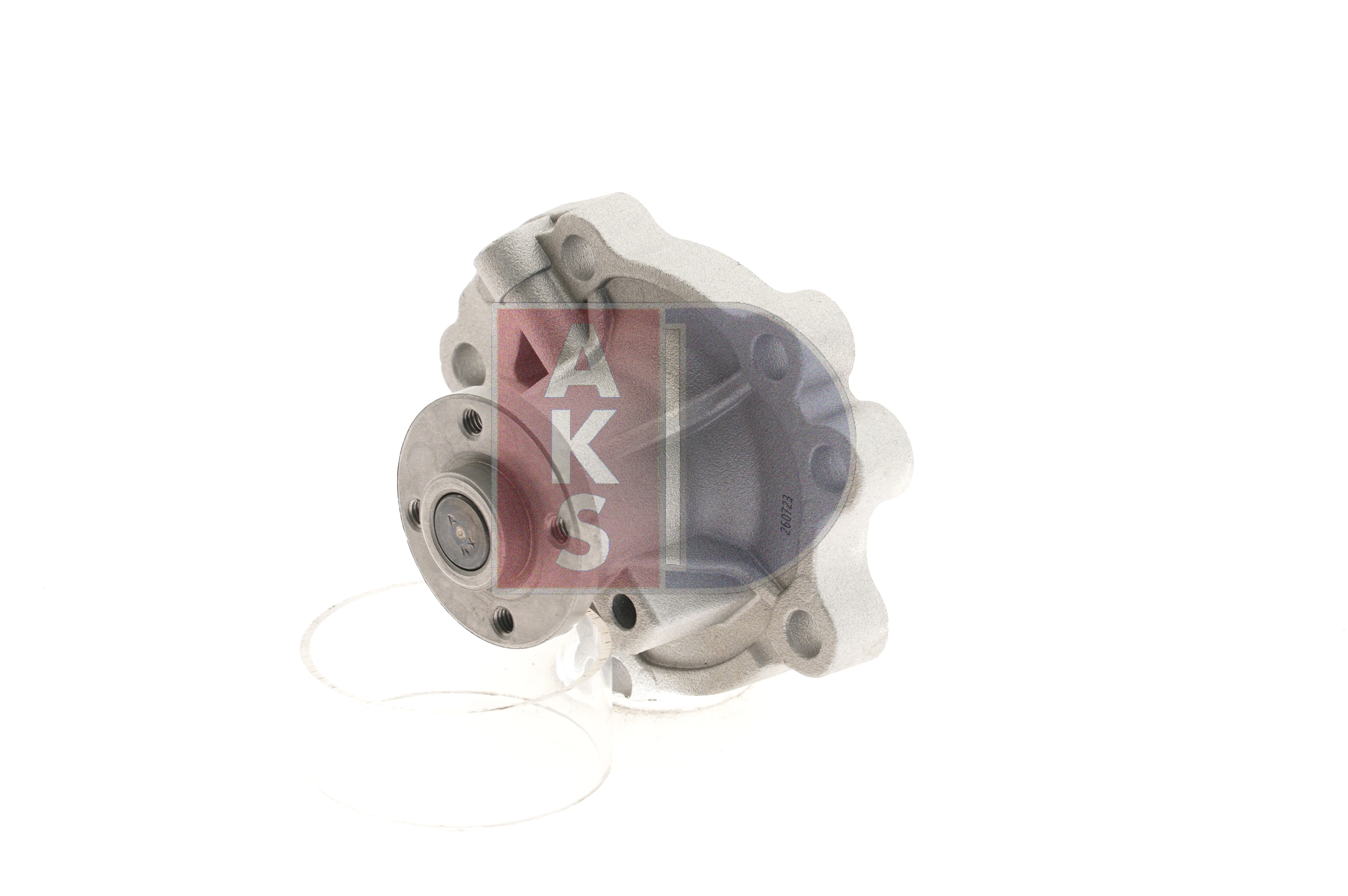 AKS DASIS 570623N: Pompe à eau
