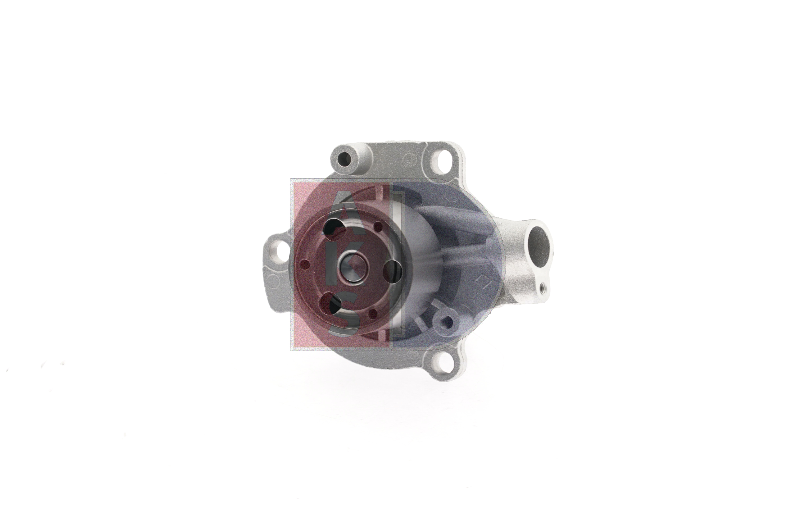 AKS DASIS 570652N: Pompe à eau