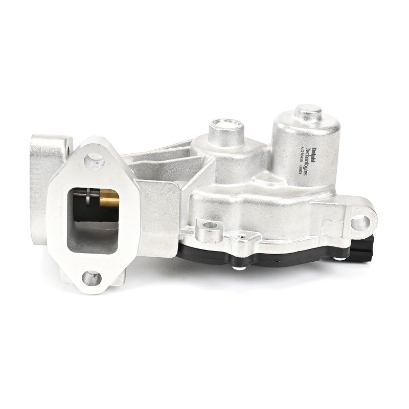 DELPHI EG10459-12B1: EGR klep Zonder AGR koeler