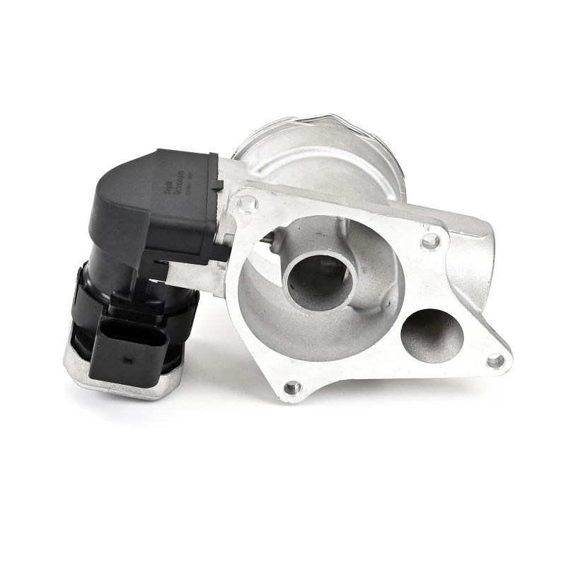 DELPHI EG10484-12B1: EGR klep Zonder AGR koeler