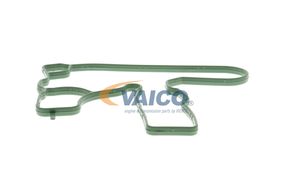 VAICO V10-3884: Dichtung Green Mobility Parts