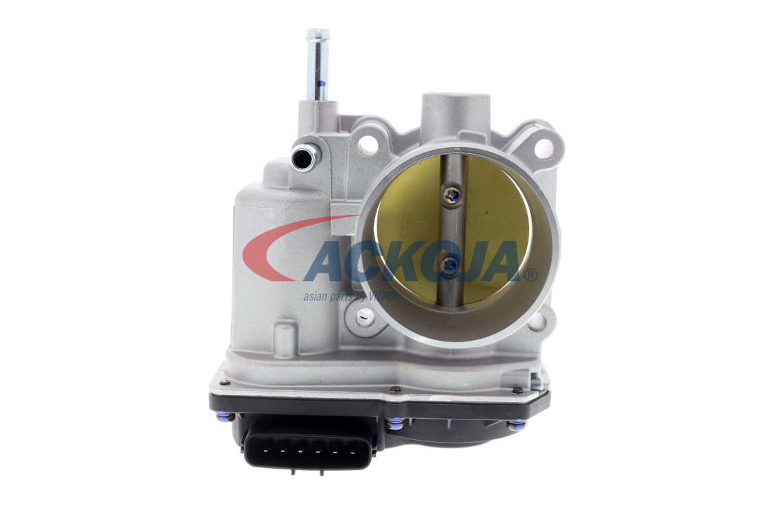 ACKOJA A70-81-0010: Clapetă de accelerație Green Mobility Parts