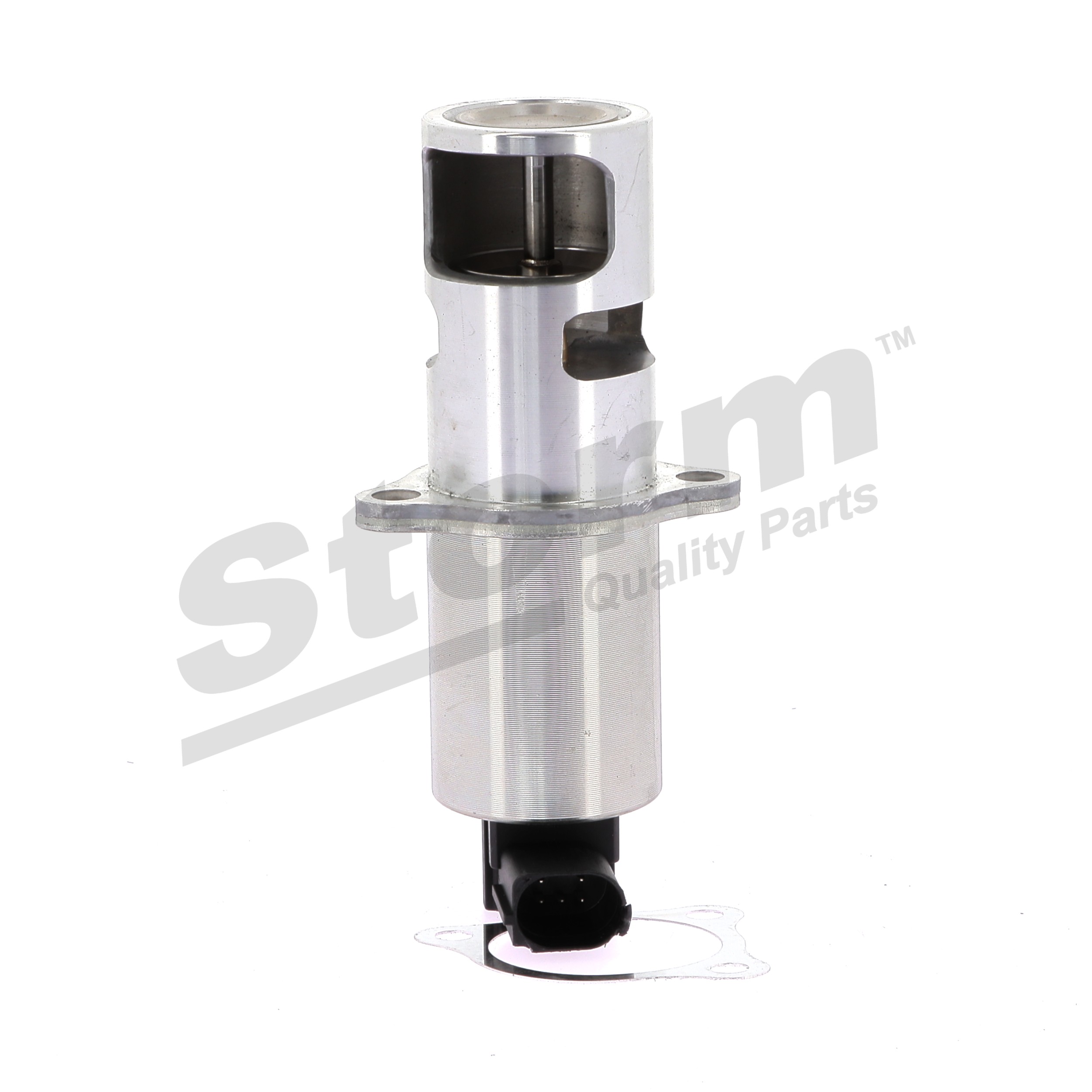 STORM QUALITY PARTS 9019: AGR-Ventil mit Dichtungen