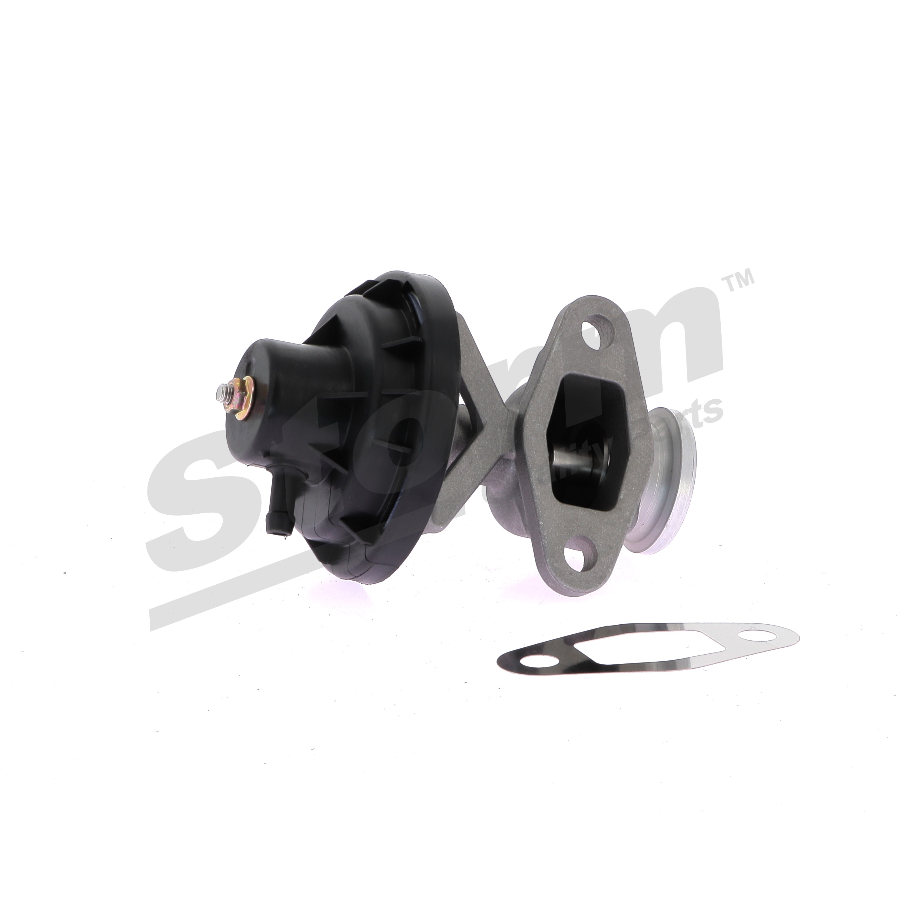 STORM QUALITY PARTS 9038: AGR-Ventil mit Dichtungen