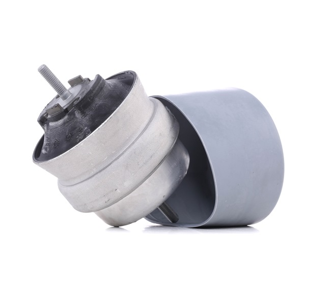 REINHOCH RH11-0037 Έδραση, κινητήρας AUDI A4 Cabrio (8H7, B6, 8HE, B7) 130 PS Βενζίνη κόστος