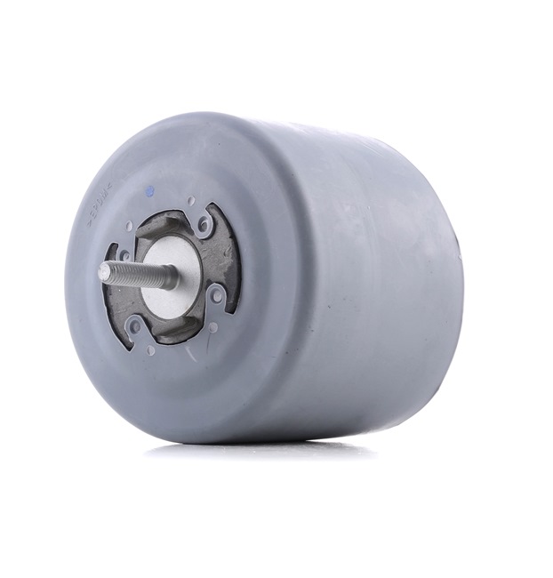 REINHOCH RH11-0071: Suport motor dreapta