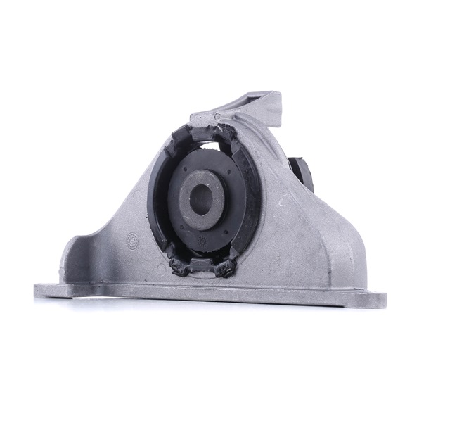 REINHOCH RH11-1022: Suport motor spate stanga