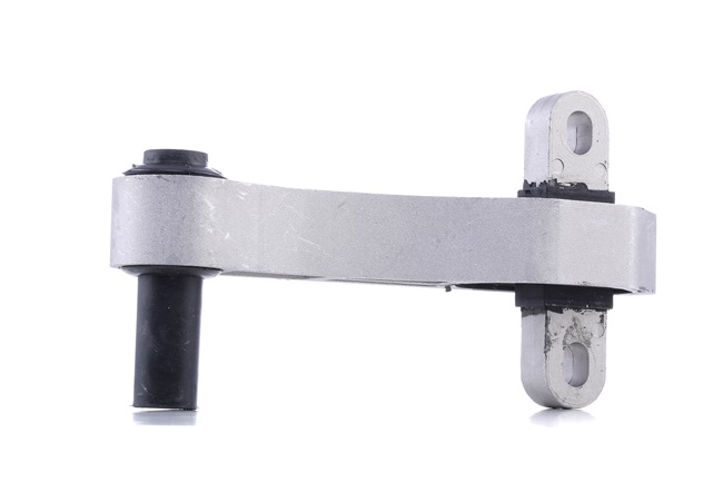 REINHOCH RH11-1051: Suport motor partea de jos, spate