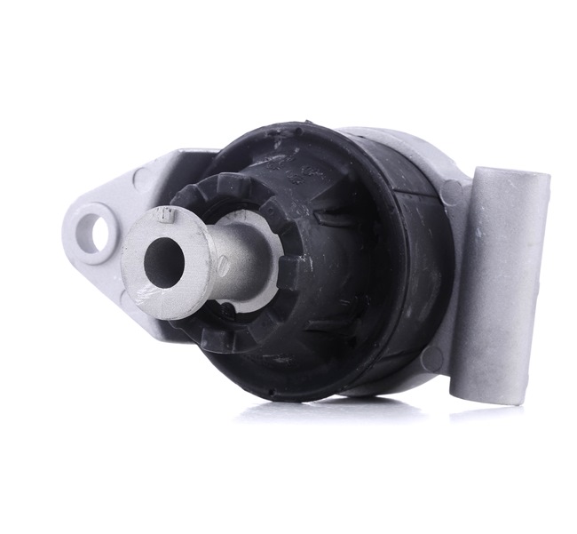 REINHOCH RH11-5010 Motorsteunlager OPEL Astra G CC (T98) 101 Pk Benzine kosten
