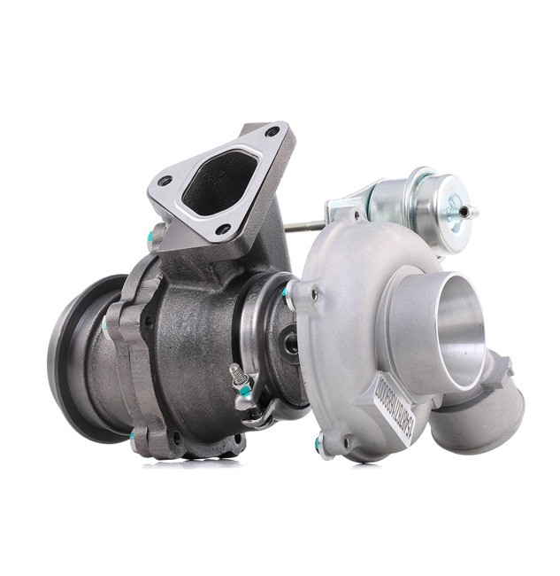 RIDEX 2234C10612: Turbolader mit Dichtungen