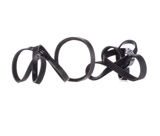 STARK SKRBS-1200693: Set curea transmisie cu caneluri