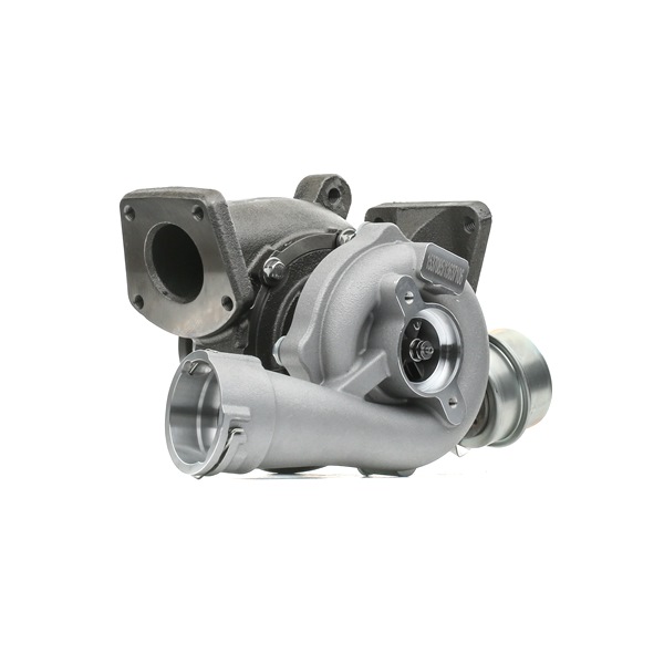 RIDEX 2234C10617 Turbocharger VOLKSWAGEN Transporter 5 (7JD, 7JE, 7JL, 7JY, 7JZ, 7FD) 130 Pk Diesel kosten