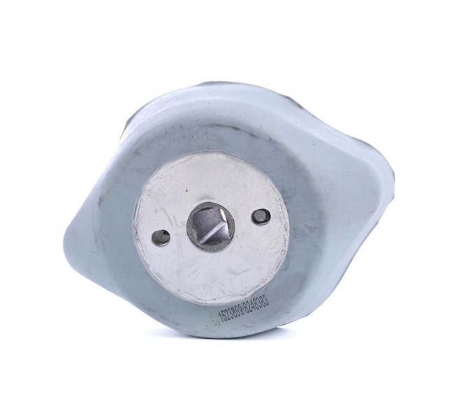 RIDEX 249M0171 Lagerung, Schaltgetriebe VW PASSAT Variant (3B5) 120 PS Benzin Kosten