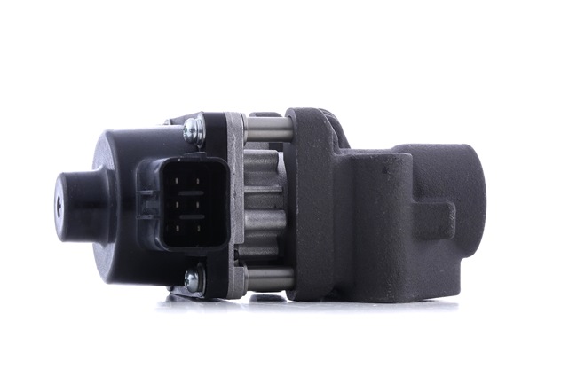 RIDEX 4198E0102 Μονάδα EGR SUZUKI SWIFT 3 (MZ, EZ) 102 PS Βενζίνη κόστος