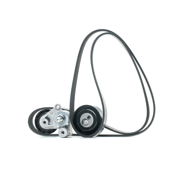 STARK SKRBS-1200697: Poly V-riem set