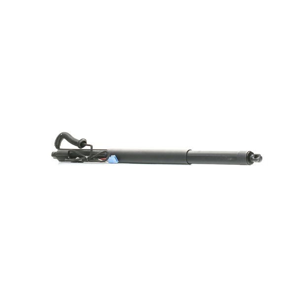 RIDEX 219G1033: Gasveer achterklep 658,6mm