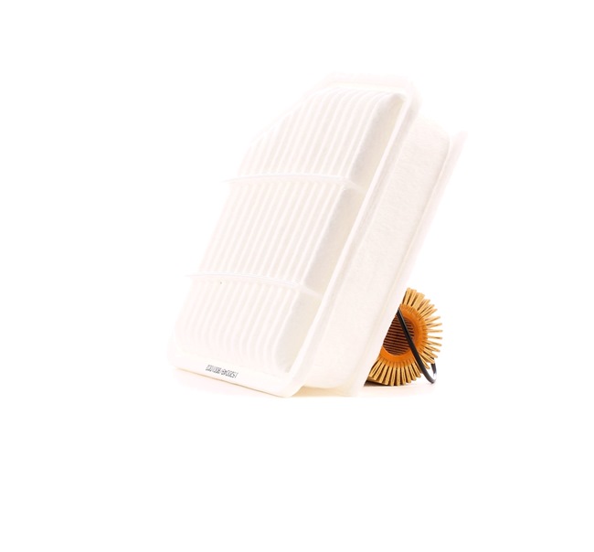 RIDEX 4055F1176 Filter - Sada LEXUS IS 2 (GSE2, ALE2, USE2) 150 KS nafta cena