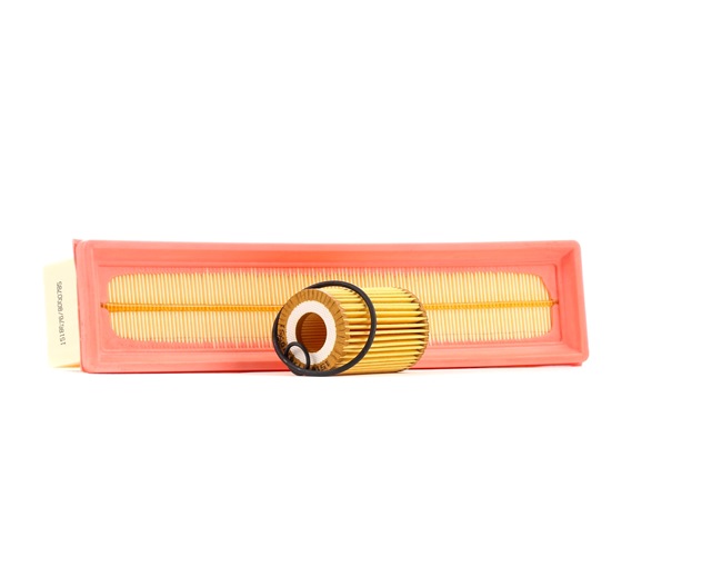 RIDEX 4055F1370 Filter - Sada RENAULT TWINGO 1 (C06) 75 KS Benzín cena