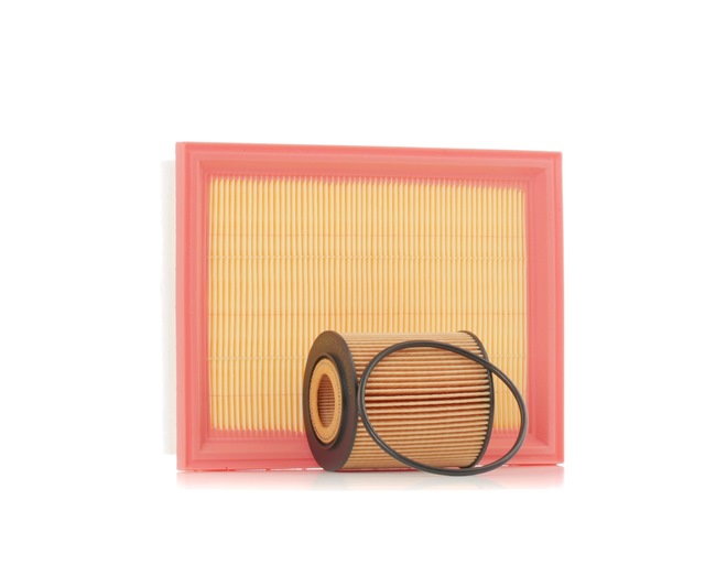 RIDEX 4055F1376 Filter - Sada MINI Hatchback (R50, R53) 90 KS Benzín cena