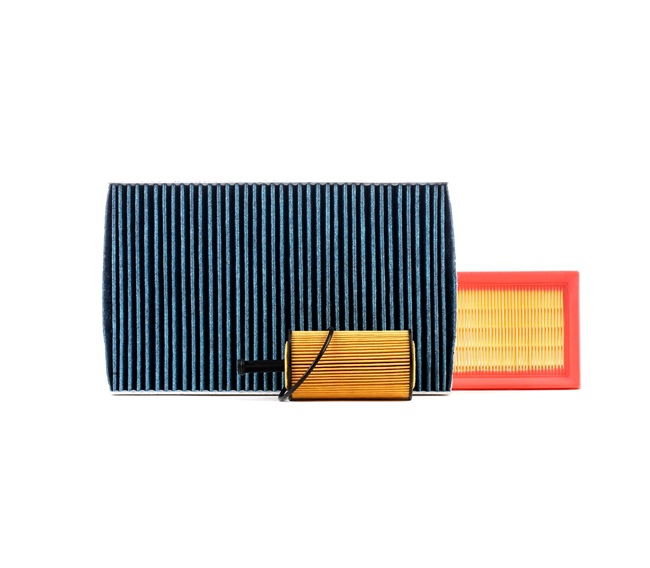 RIDEX 4055F3664: Filtrs-Komplekts