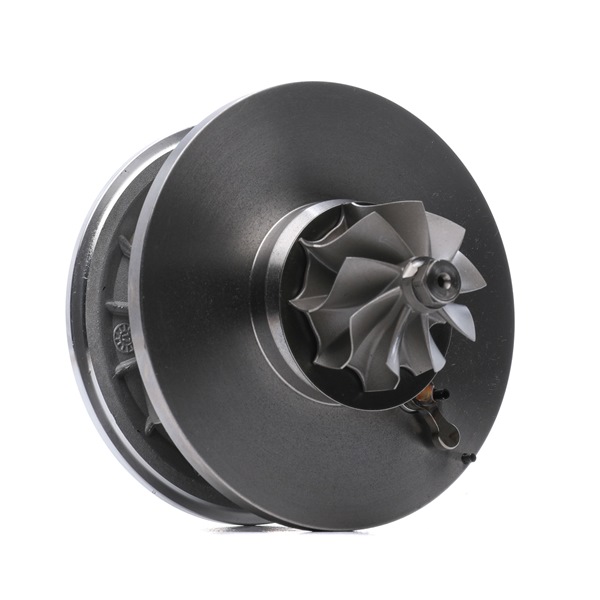 RIDEX 4973C0131: Rumpfgruppe, Lader