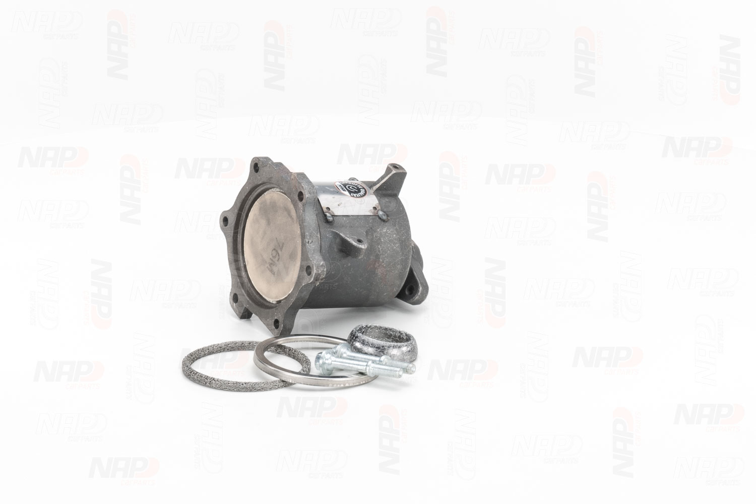 NAP carparts CAK11301: Katalizator