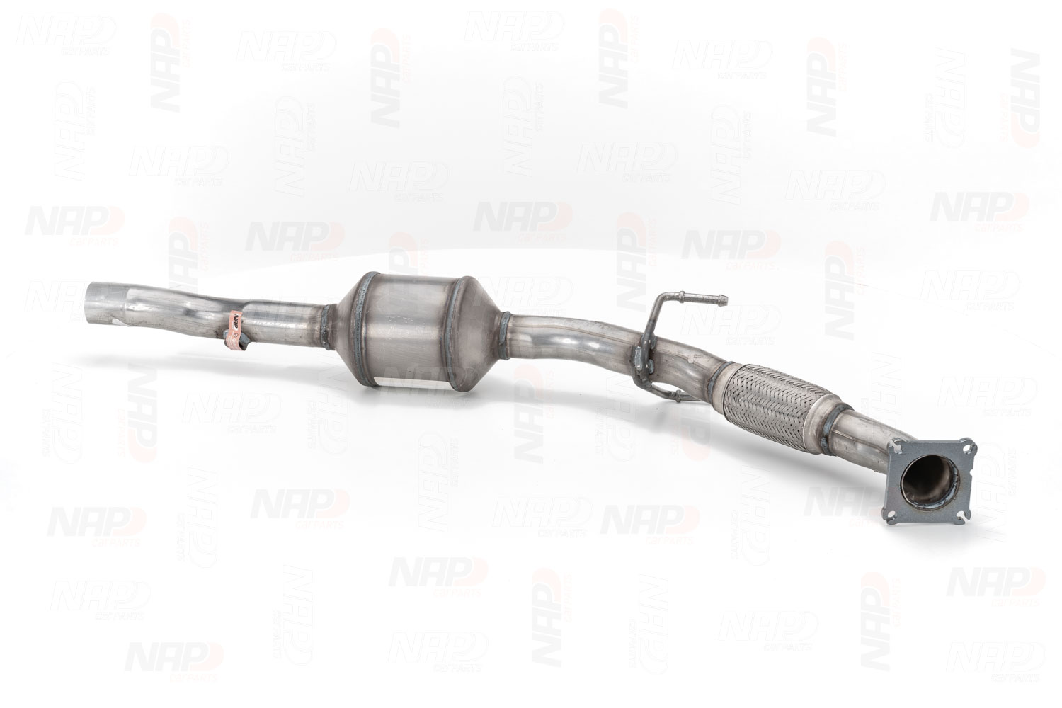 NAP carparts CAK11318: Katalizator