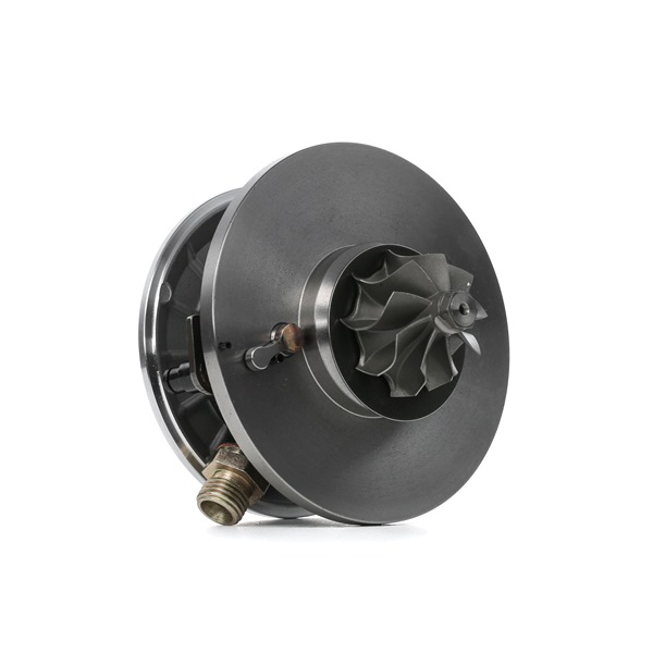 RIDEX 4973C0133 Turbinos kartridžas VOLKSWAGEN Passat Variant (3C5) 105 AG dyzelinas kaina