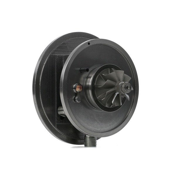 RIDEX 4973C0134 Turbinos kartridžas VOLKSWAGEN Passat Variant (365) 140 AG dyzelinas kaina